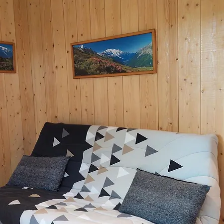 Renove 16m2, Terrasse, Animaux Admis, Parking, Pres Telecabine Brevent - Fr-1-517-3 Chamonix